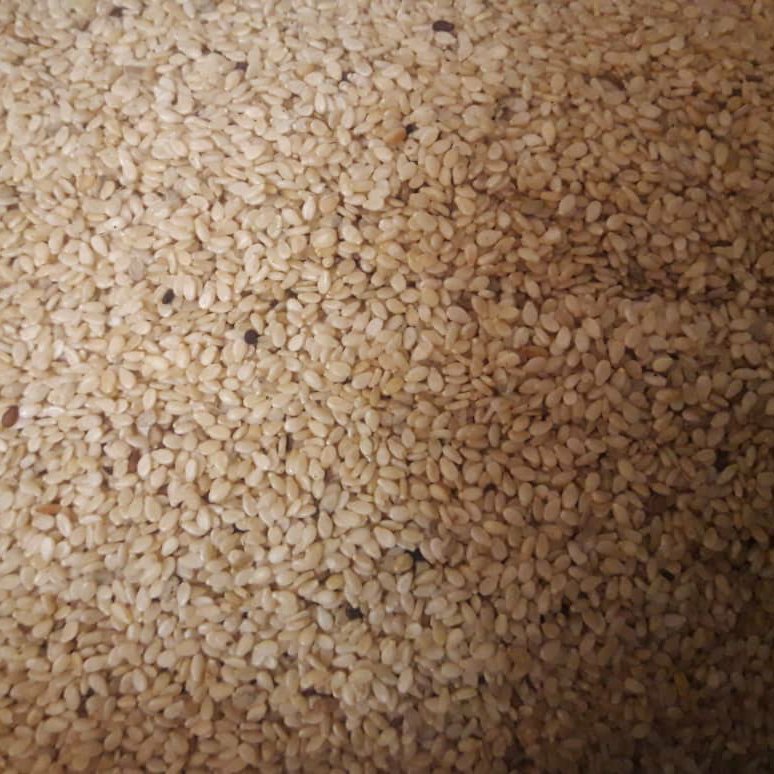 کنجد ایرانی