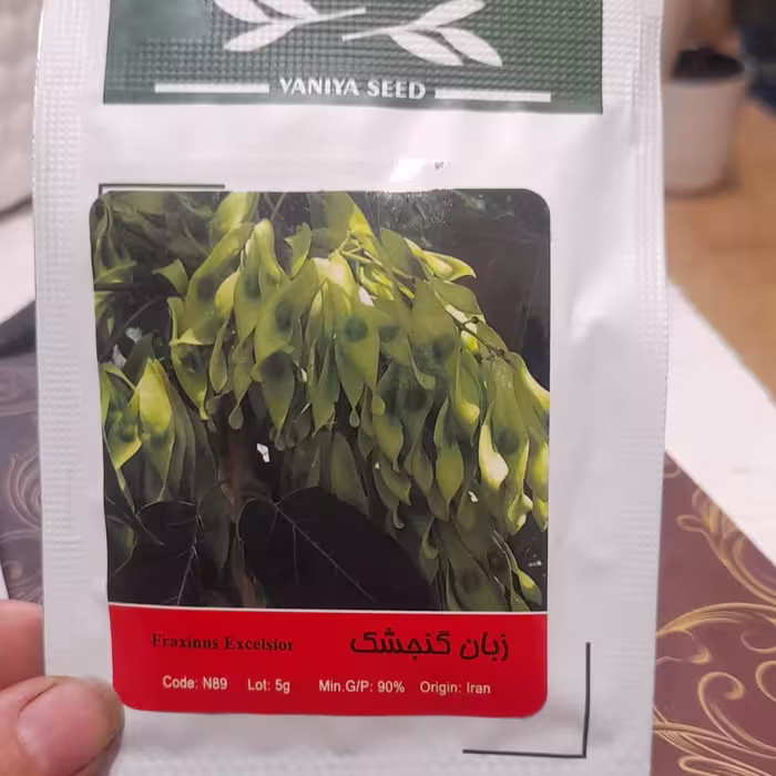 بذر زبان گنجشک