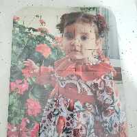 پازل چوبی 20.15