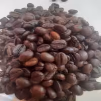 دانه قهوه روبوستا بسته 500 گرمی