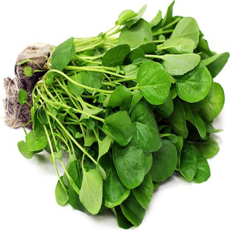 بذر شاهی