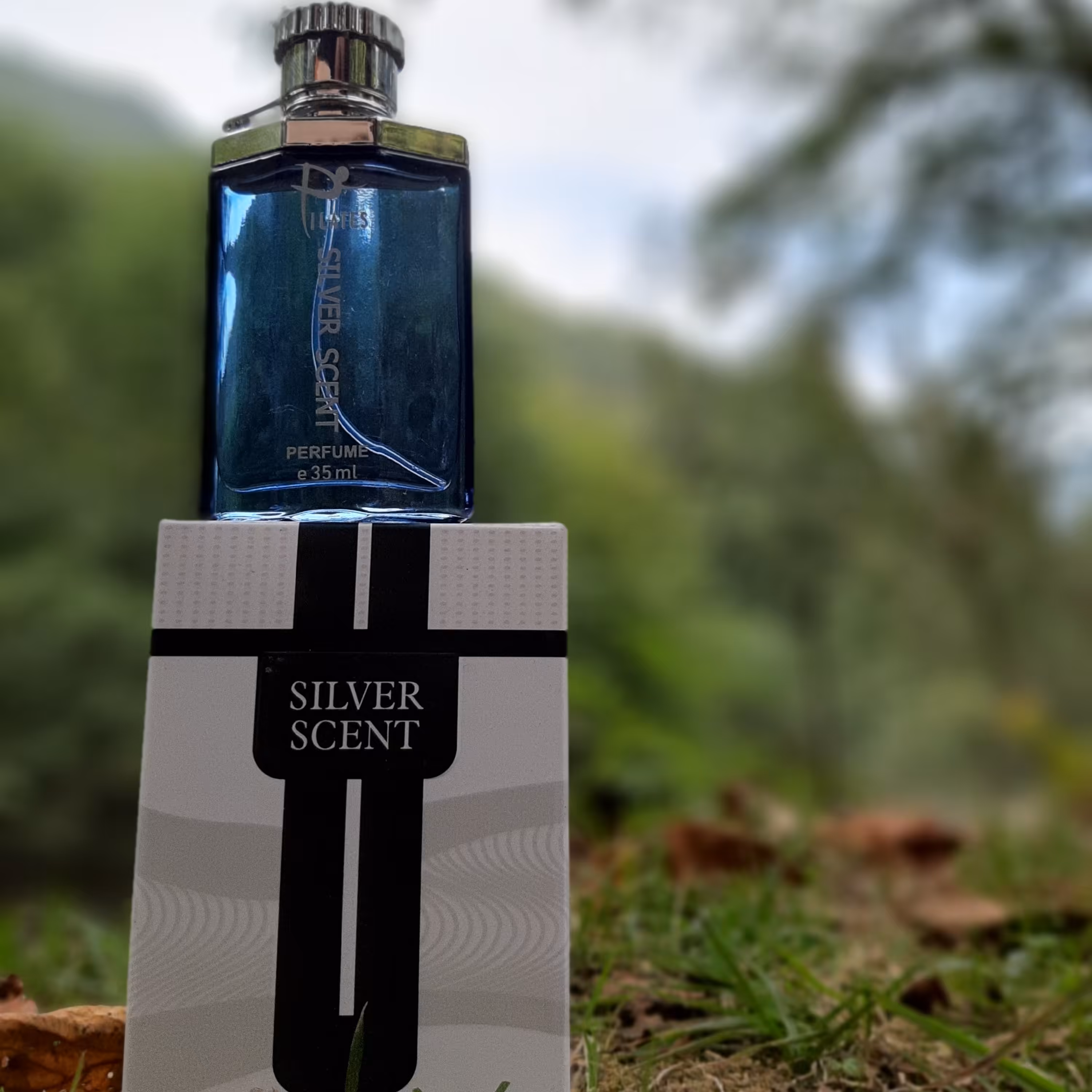 عطرجیبی SILVER SCENT 