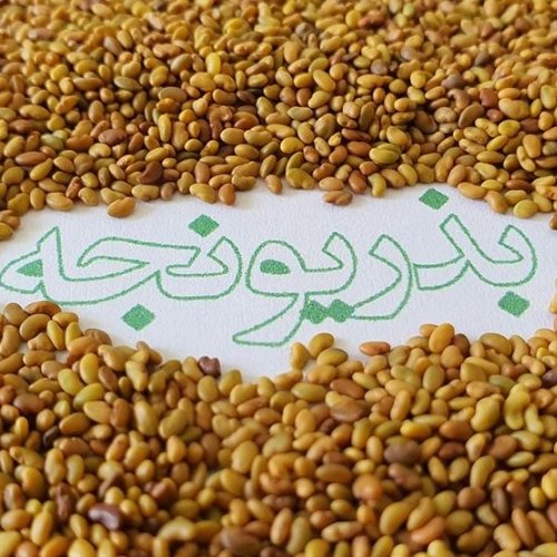 تخم یونجه  100گرم نرمی استخوان کودکان. ضد سرفه. افزایش رشد کودکان 