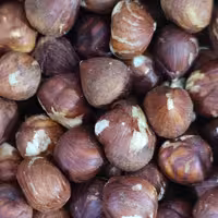 مغز فندق خام 250 گرمی