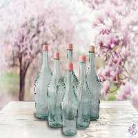 بطری ابغوره کارو ادنا 2لیتر
