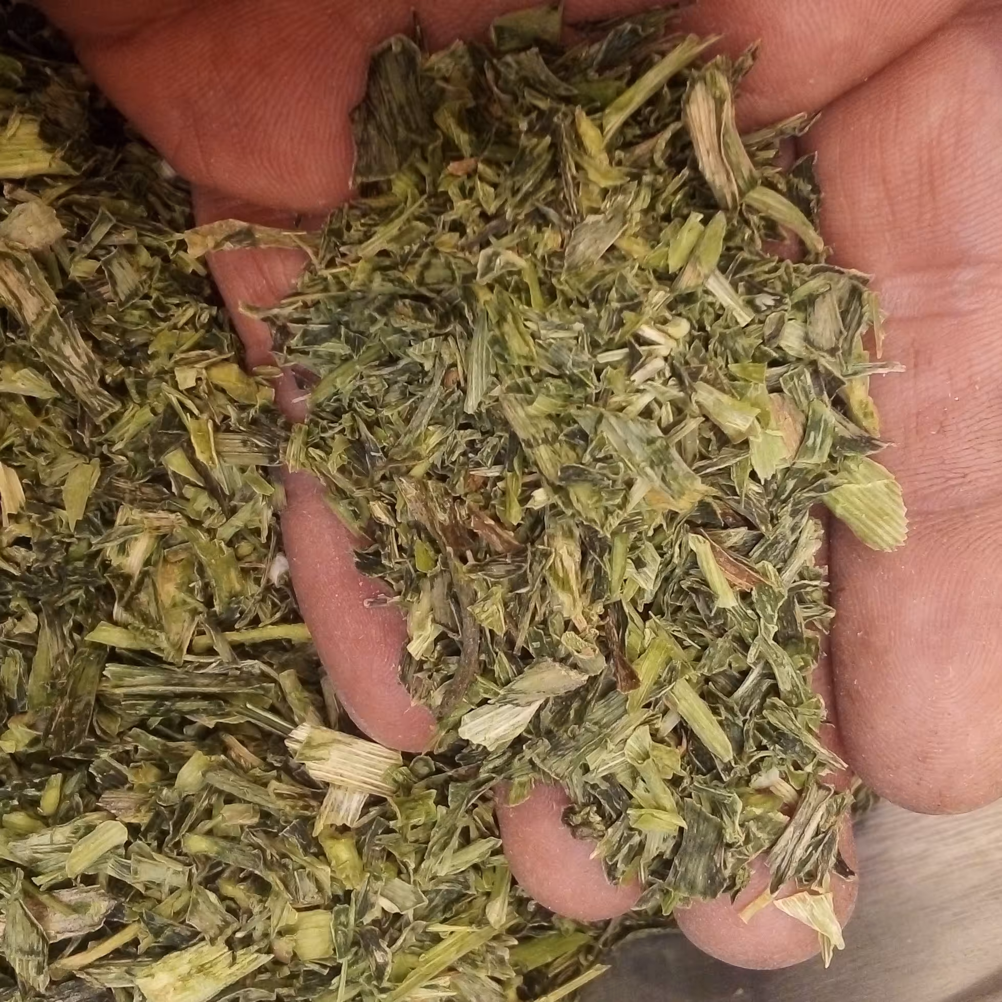 سیردنگ 150 گرمی