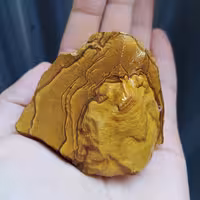 راف جاسپر پیکچر بسیااار زیبا دیدنی کاملا طبیعی