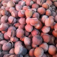 فندق اعلا و درجه 1