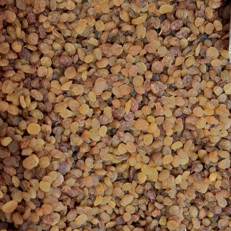 کشمش پلوئی