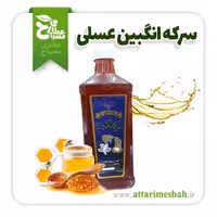 سرکه انگبین استاد خیراندیش