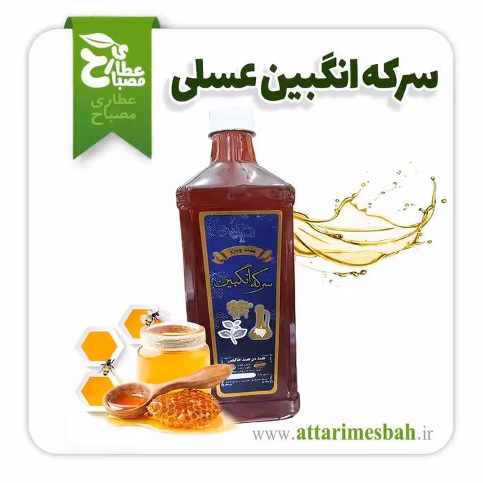 سرکه انگبین استاد خیراندیش
