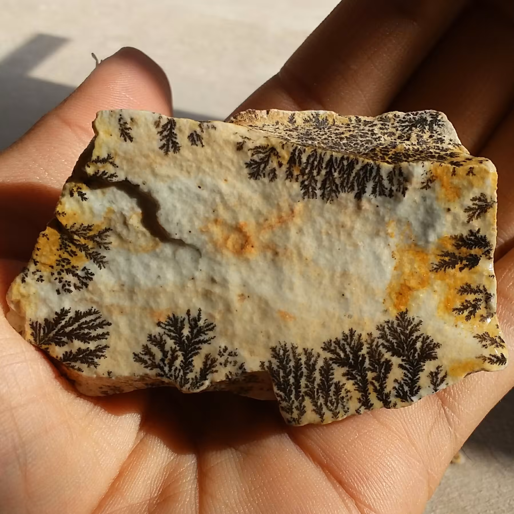 سنگ راف 100 در 100 طبیعی شجر دندریتی یا فسیلی محشر خاص شاهکار خلقت
شجر واضح خاااااااااص
بینظیر و تک