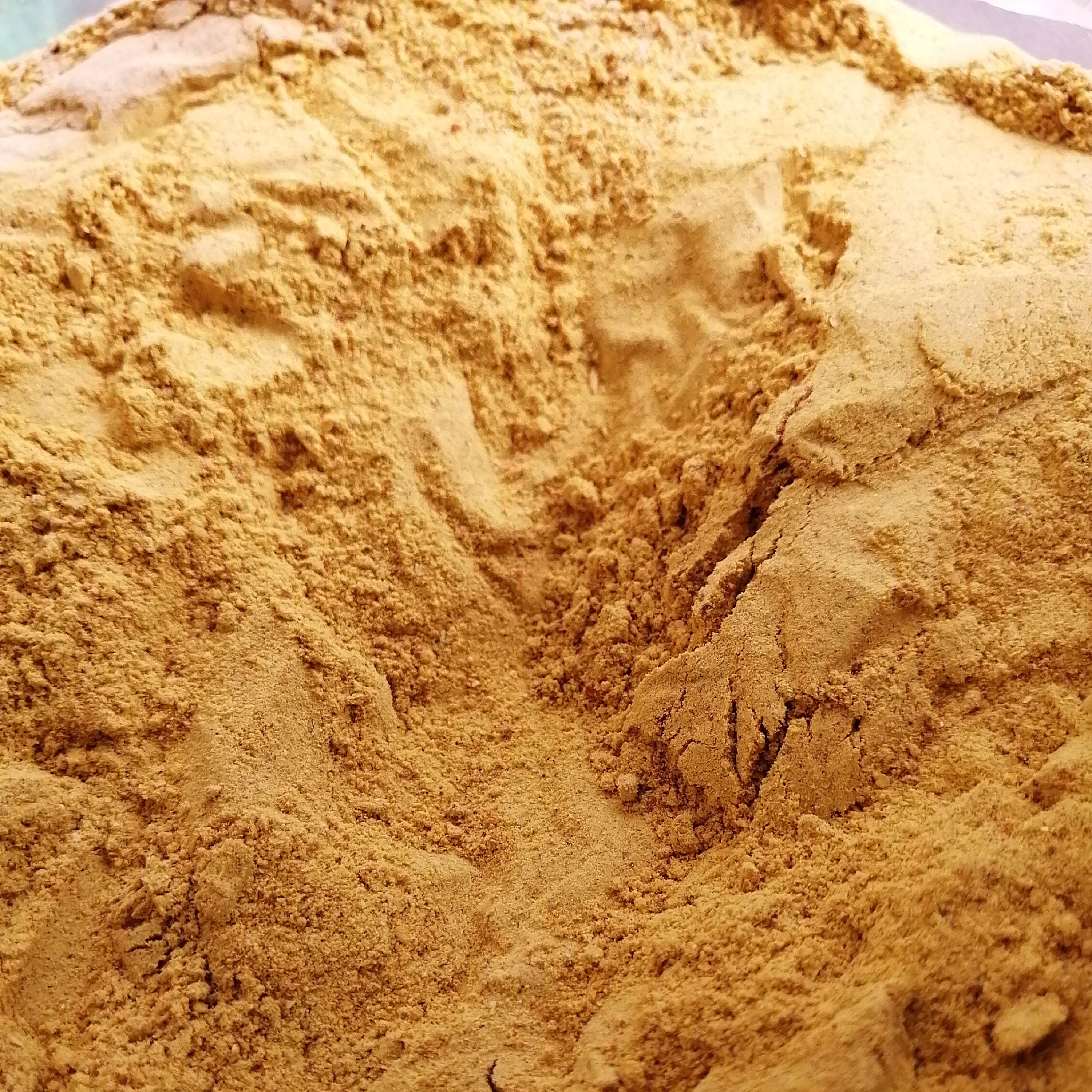 ادویه مرغ و ماهی بسته (100 گرمی) 