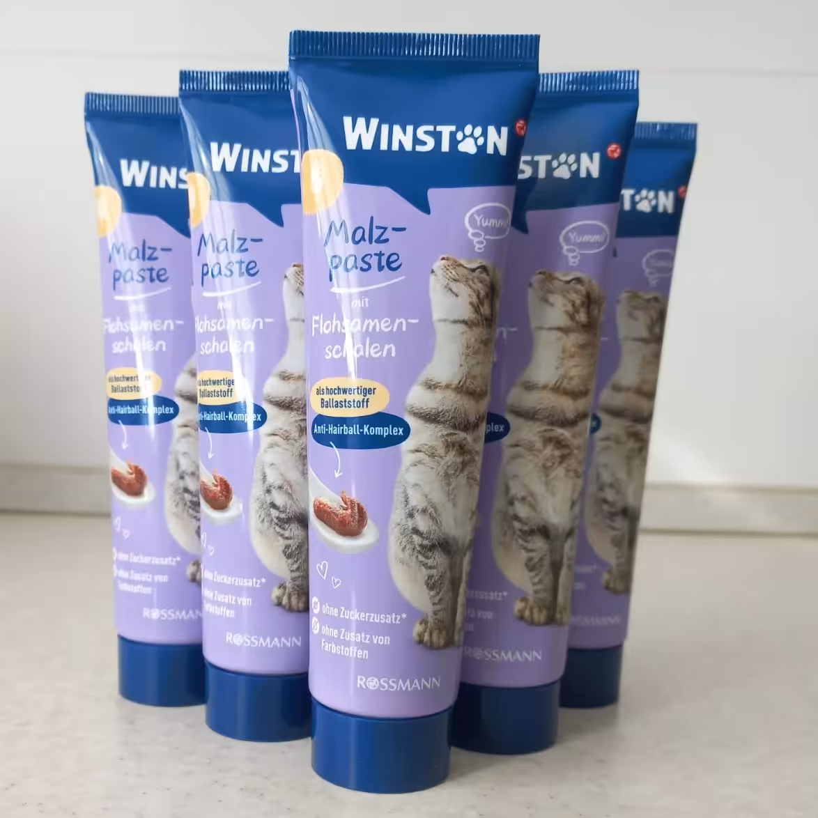 خمیر مالت گربه وینستون 