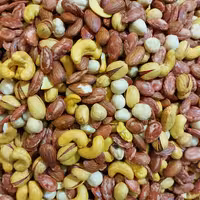 آجیل شور با تخمه جابنی 500 گرم