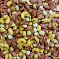 آجیل شور با تخمه جابنی 500 گرم