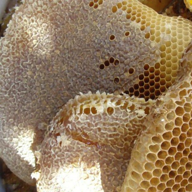 عسل طبیعی چندگیاه بدون موم سبدی چاراویماق