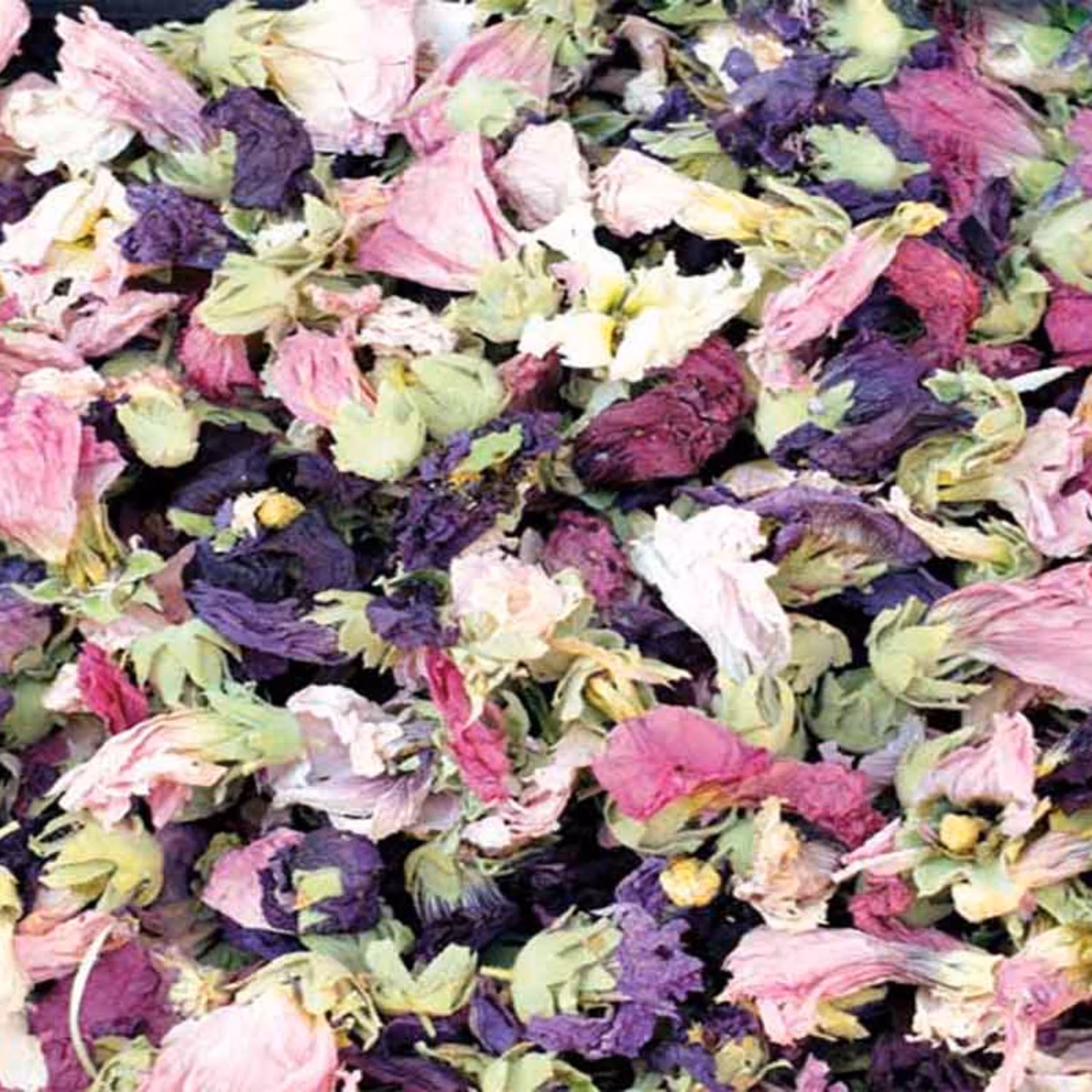 ختمی رنگی (100گرم)  