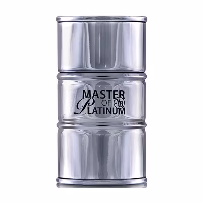 عطر مردانه نیو برند مدل Master Of Platinum 