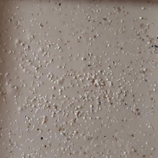 حلوا کنجد(1000)گرم