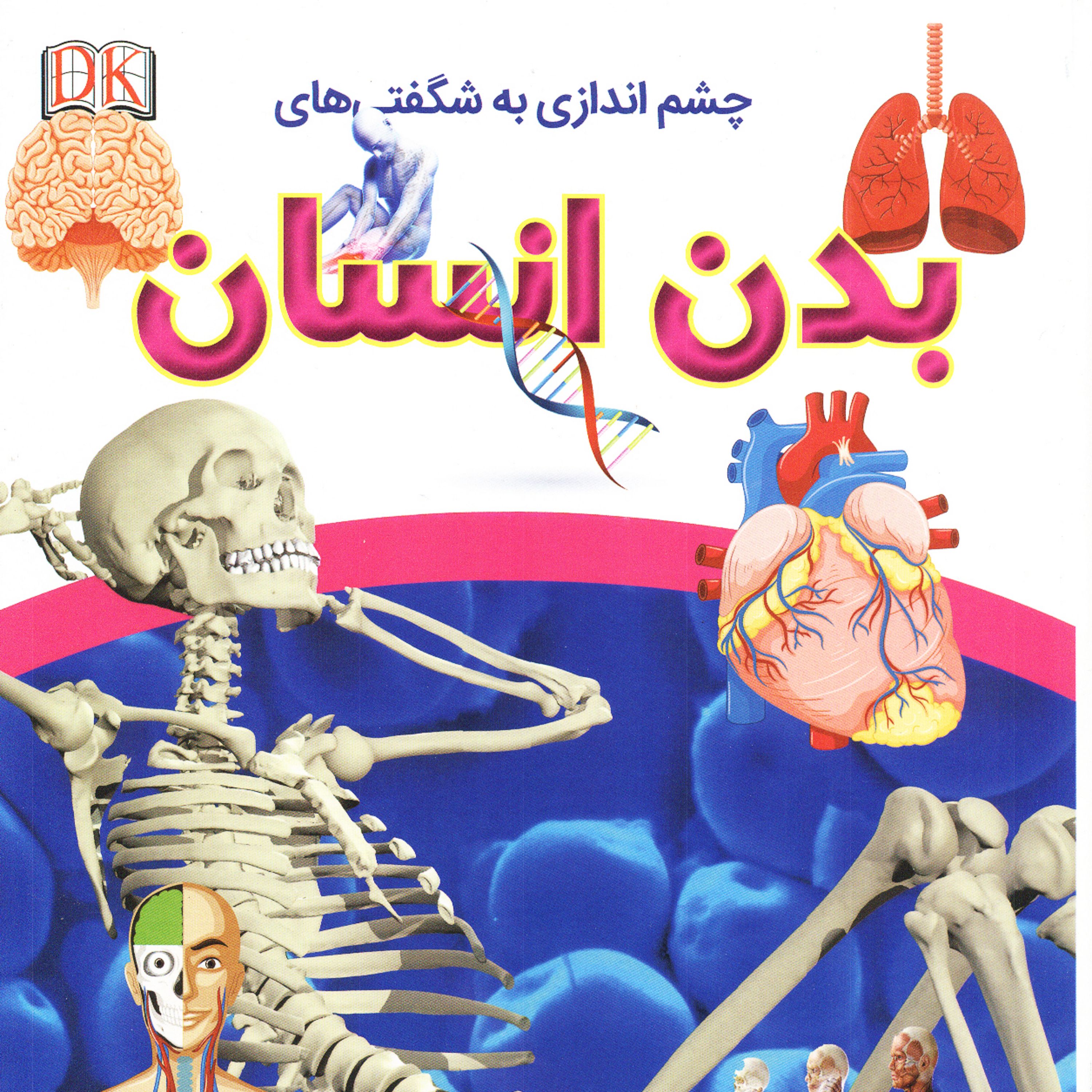 چشم اندازی یه شگفتی های بدن انسان