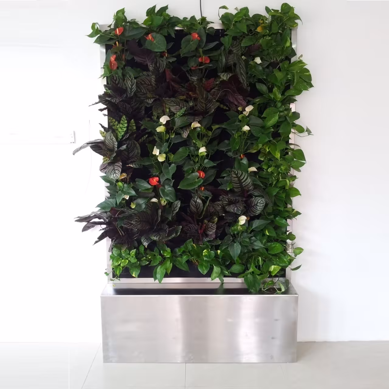 دیوار گل پیوسته طبیعی هیلدا  باکس گلدان دیواری مدل  HD-2