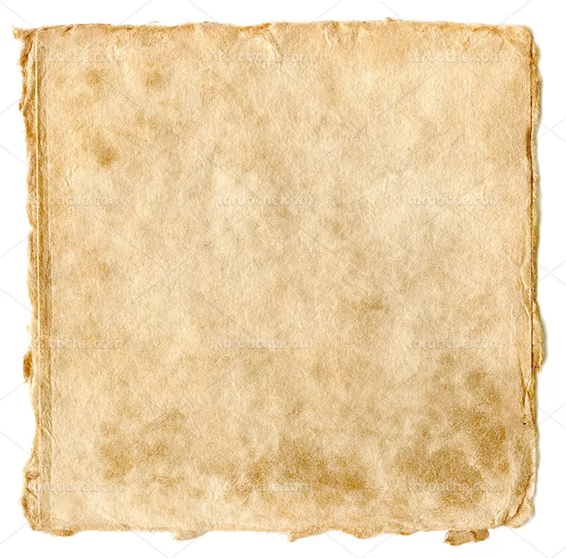 تکسچر کرمی | گرافیک با طعم تربچه