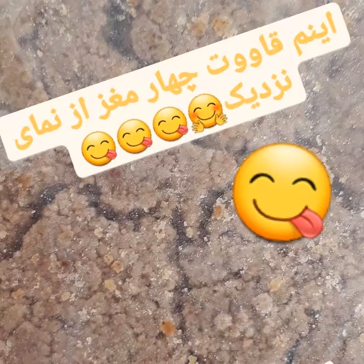 قاووت چهار مغز