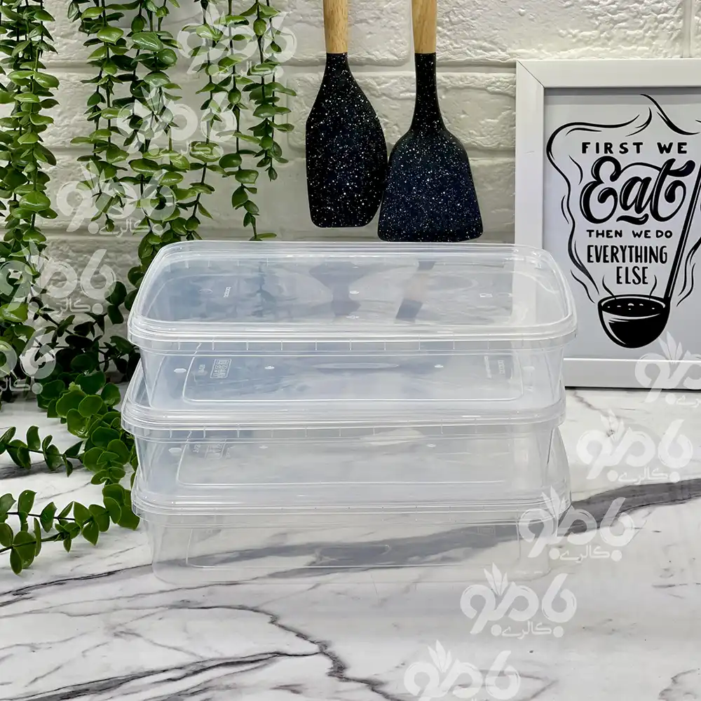 ظرف نگهدارنده فریزری 3عددی 1750میلی‌لیتر