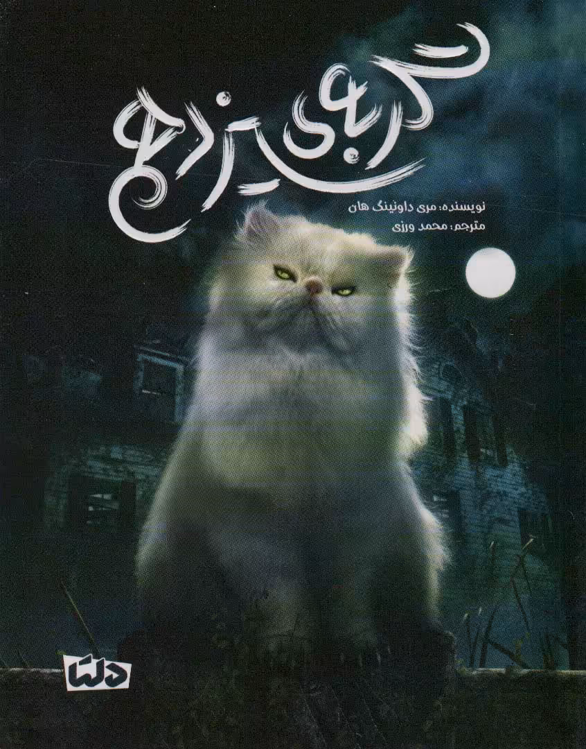 کتاب گربه سیزدهم