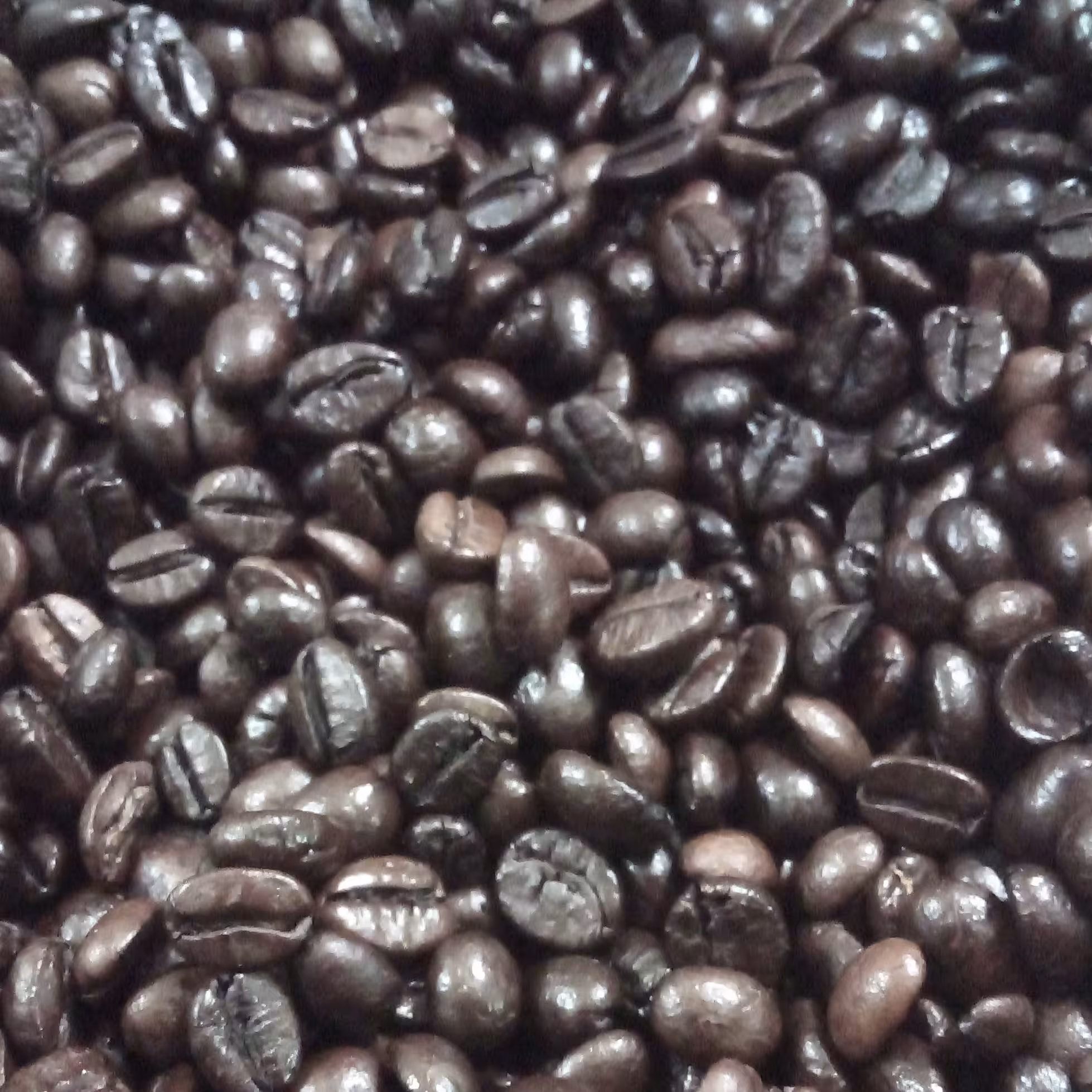 قهوه جوکر(نیم کیلویی) قهوه شما را سالم نگه می دارد ،کمک به هضم غذا،بهبود چشم درد، سردرد، سرما خوردگی، سرفه و آب ریزش