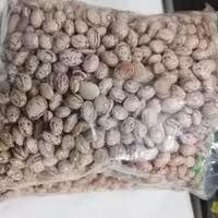 لوبیا چیتی نیم کیلویی