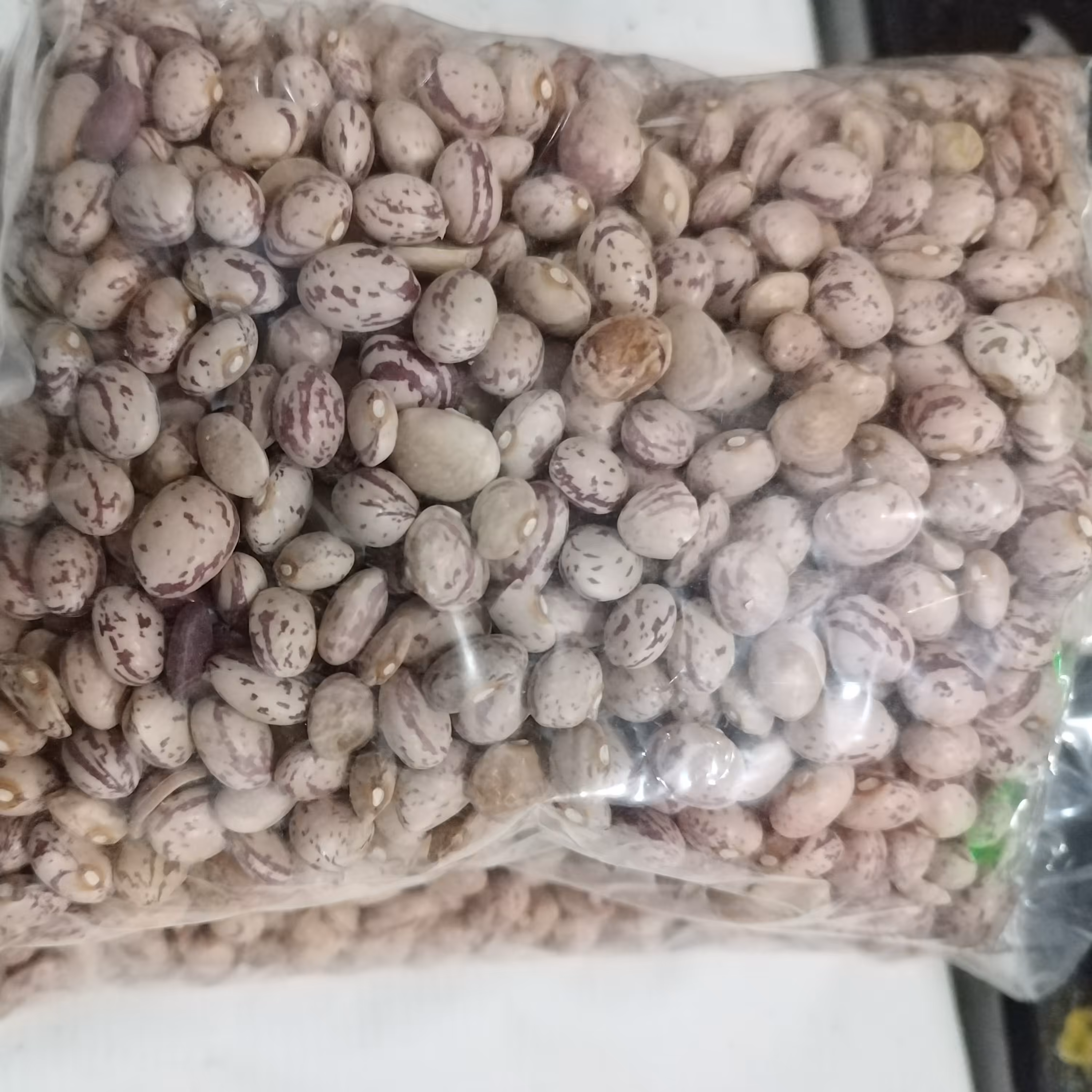 لوبیا چیتی نیم کیلویی