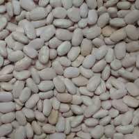 لوبیا سفید  بوجاری شده (1 کیلویی) 