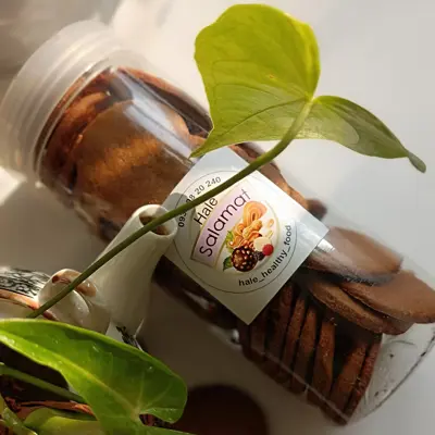 بیسکوییت رژیمی سبوس دار جوی دوسر کم کالری و بدون شکر و روغن و گلوتن بسته بندی پاکتی 250 گرمی 