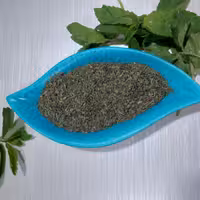 نعنا خشک محلی مازنی معطر و بهداشتی در بسته بندی های 100 گرمی 