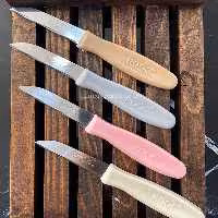 چاقوی میوه خوری 6 تایی روک