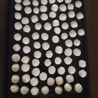 کشک کفیر (250 )گرمی