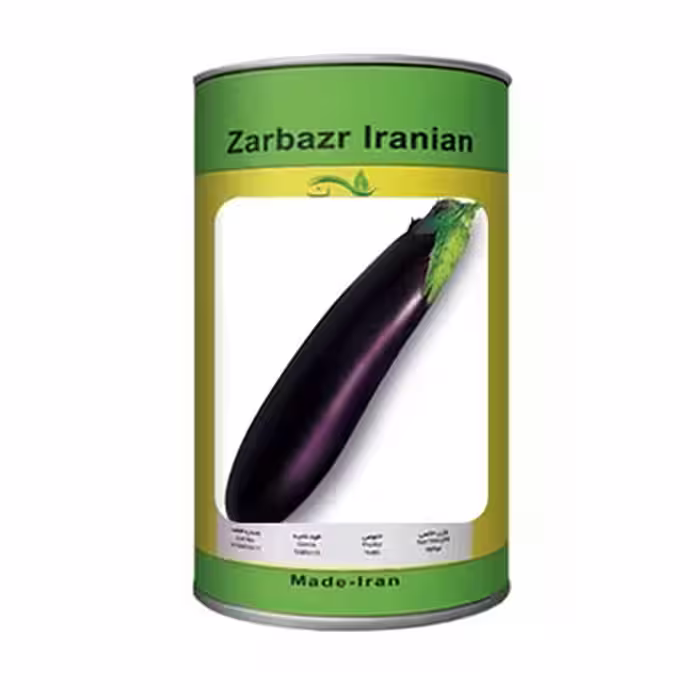 بذر بادمجان استاندارد قلمی ورامینی زربذر ایرانیان