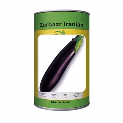 بذر بادمجان استاندارد قلمی ورامینی زربذر ایرانیان