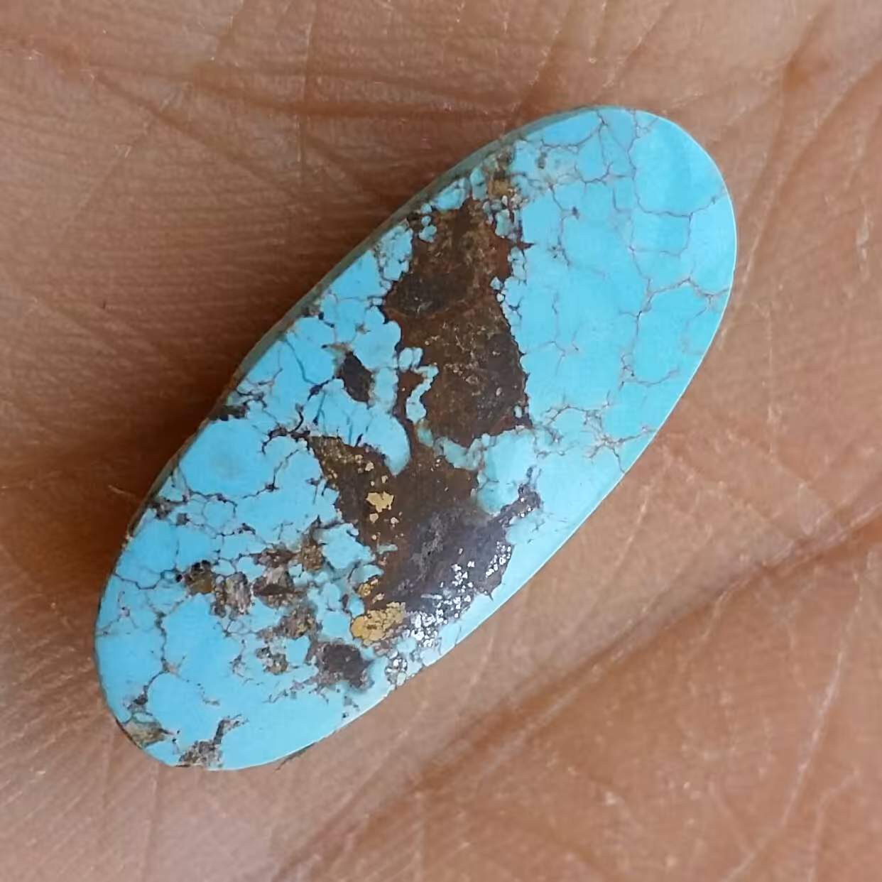 نگین فیروزه نیشابور آبی پیریت طلایی دار دیدنییی خوش رنگ و بسیار فاخر بدون بهسازی
کاملا طبیعی
سایز درشت
خاص