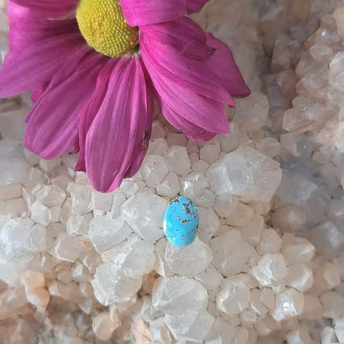 فیروزه نیشابور کد 829