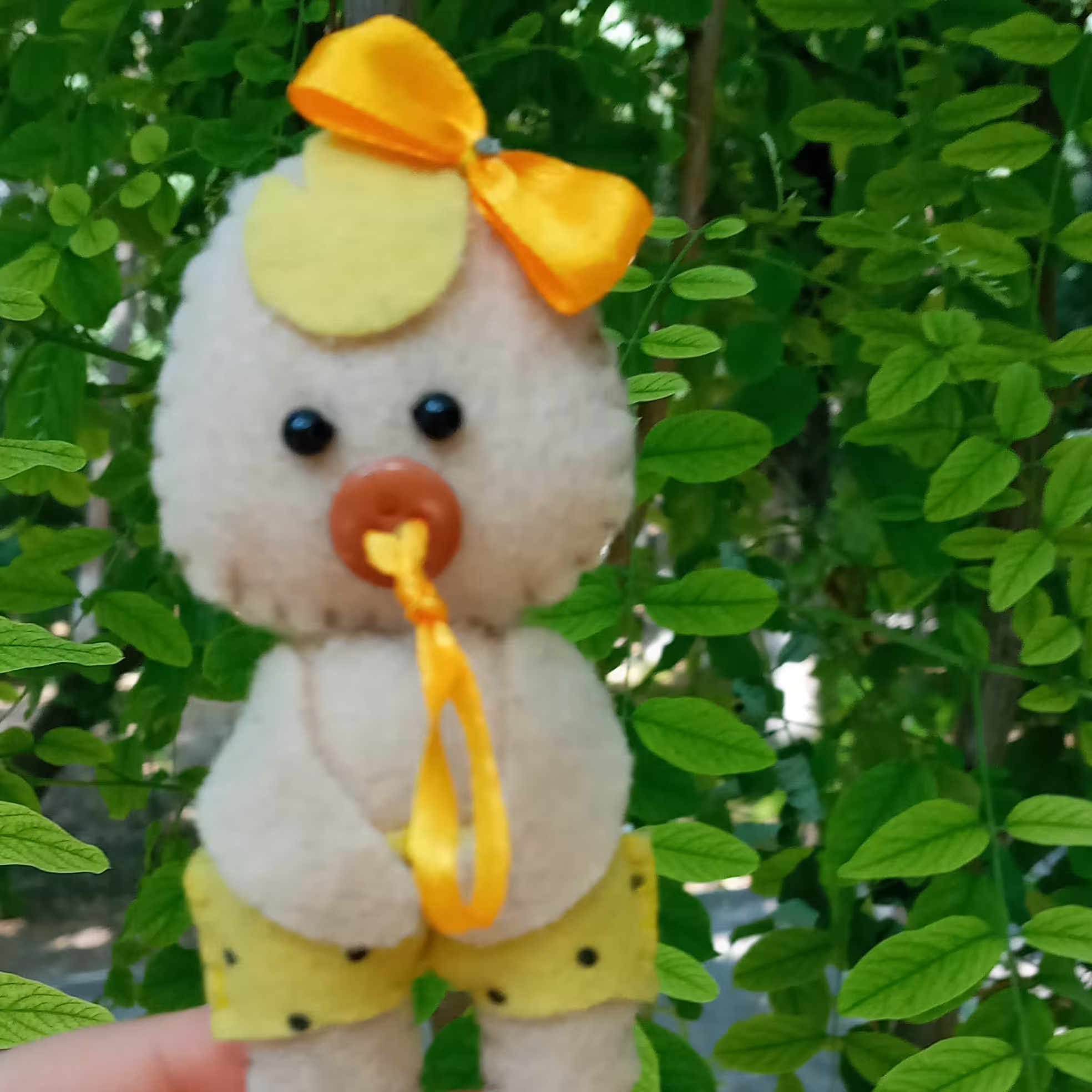 پک 5 عددی جاسوئیچی نوزاد نمدی بانمک