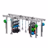 سازه تمرینات عملکردی مدل پل تک لاین PSD-RAX BS04