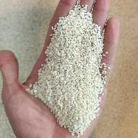 کنجد تمیز و یکدست تازه (200گرمی)