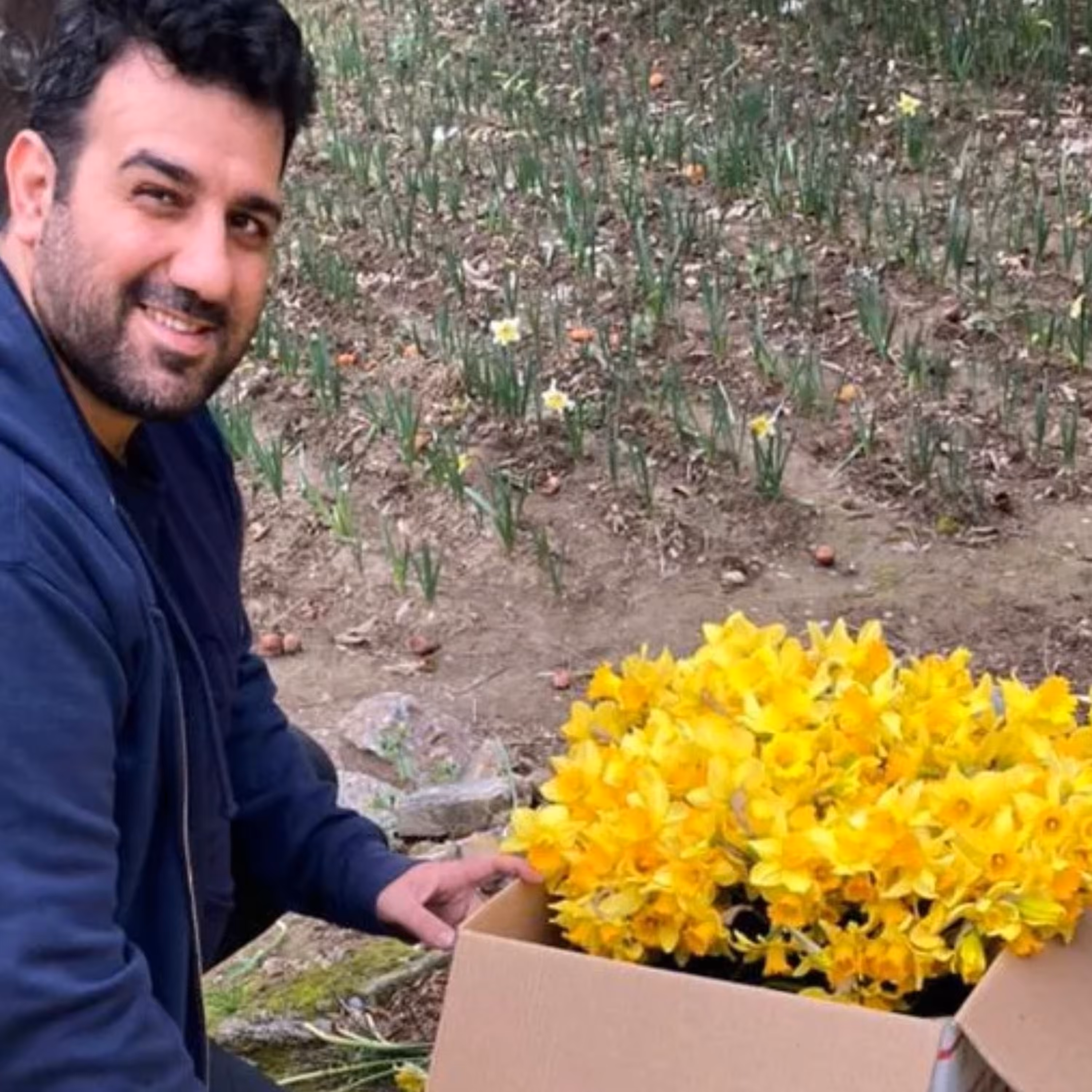 پیاز گل نرگس هلندی ژونکی کاسه نارنجی ( پک پنج عددی)