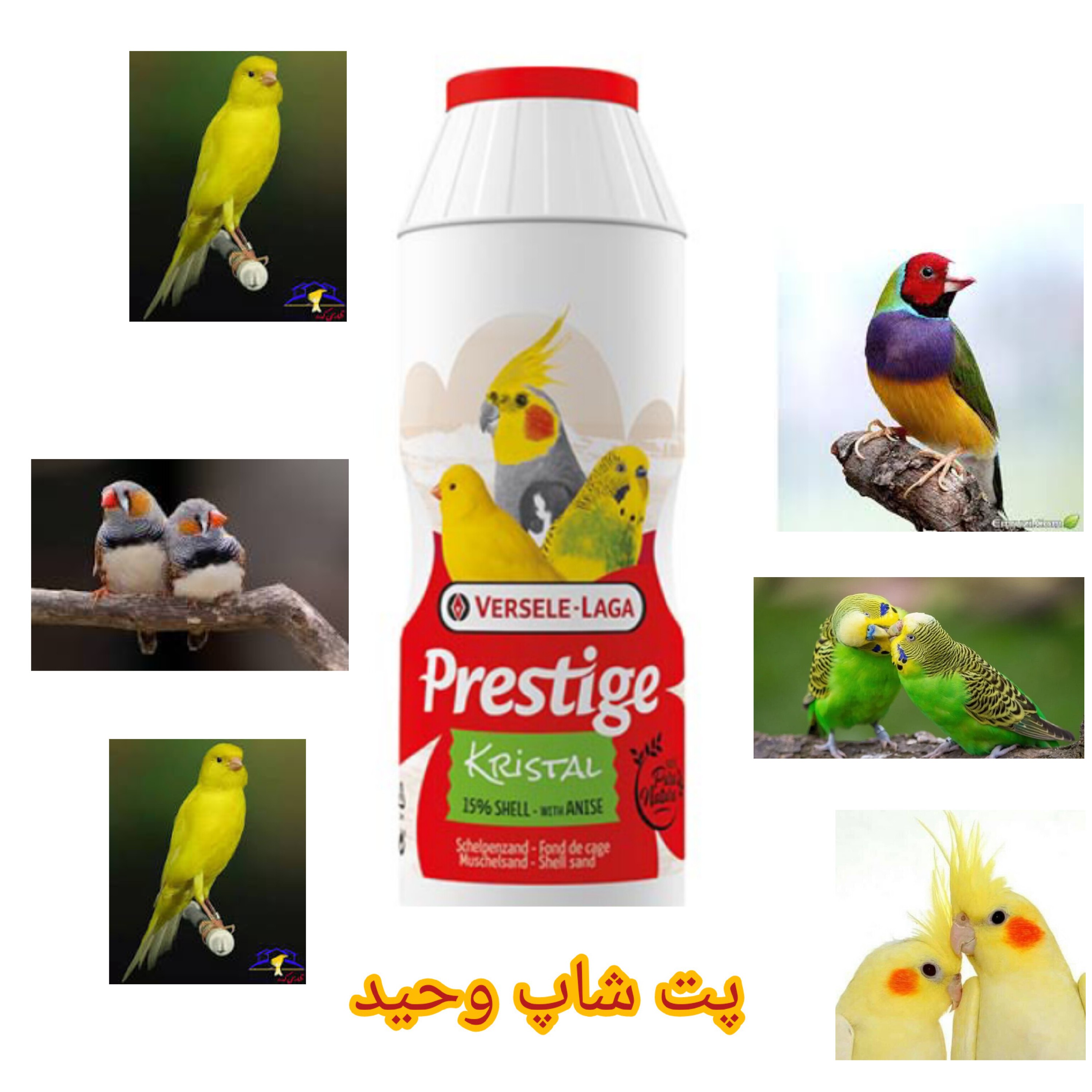 شن وماسه کریستال پرستیژ100گرم پرندگان