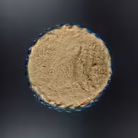 پودر سیر 500 گرمی