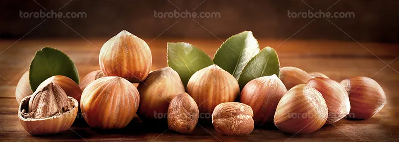 عکس فندق با برگ روی میز چوبی | گرافیک با طعم تربچه
