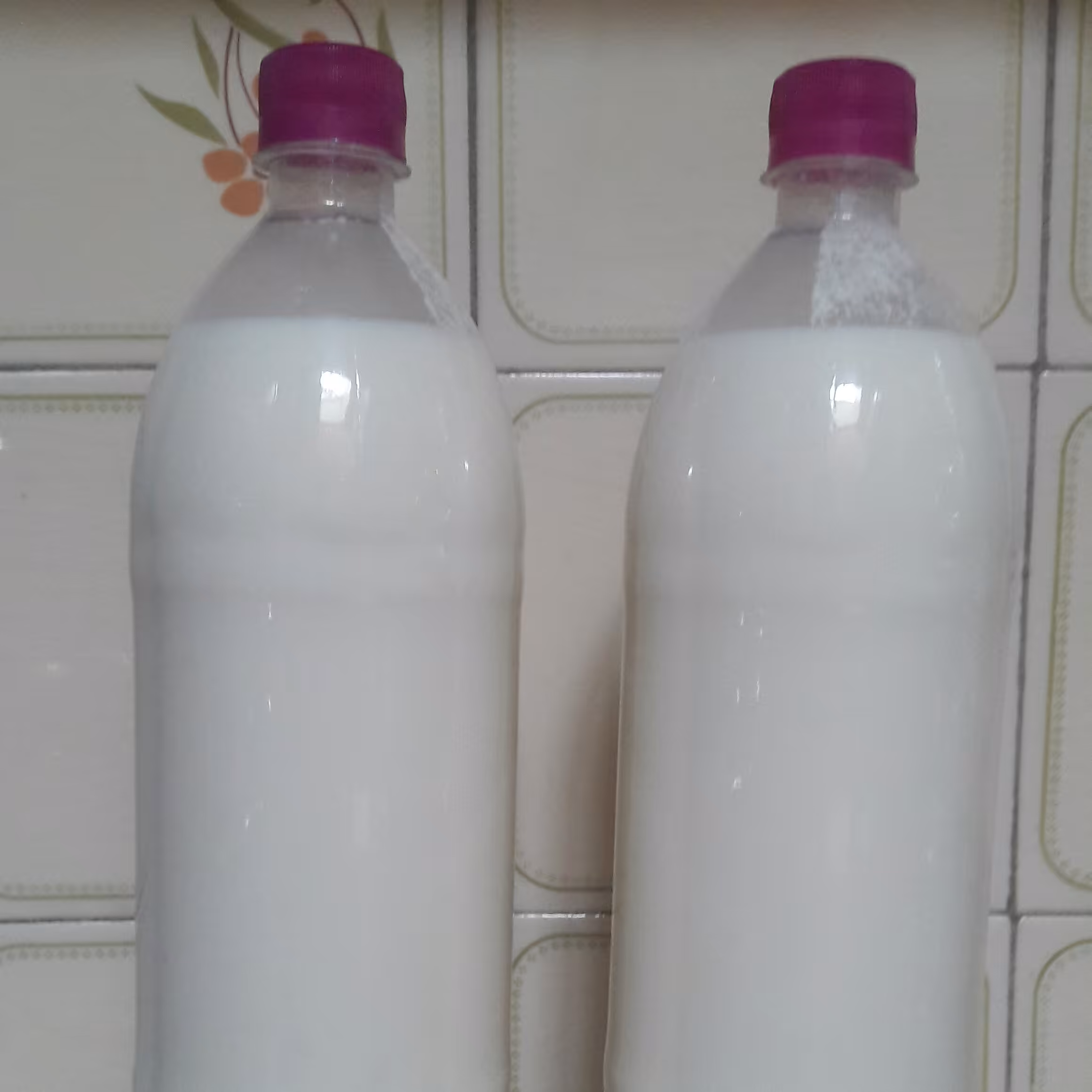 دوغ محلی پر چرب